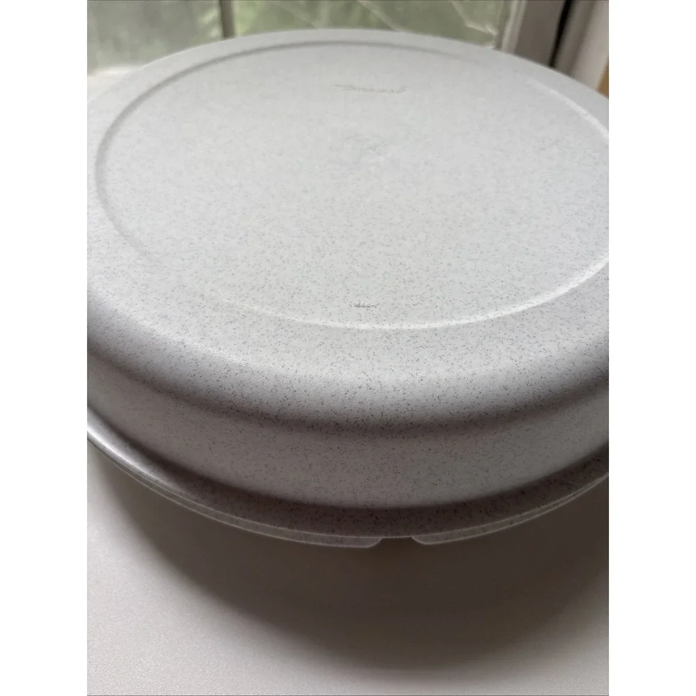 Tupperware Veggie Dip Divided Serving Tray w/ Lid 1665-1,  1666-1 NO DIP BOWL